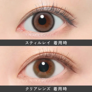 ReVIA 1Day – Still Ray 日拋 每盒10片